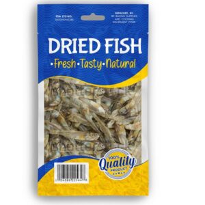 Fresh Cat Fish – Premium Quality